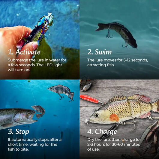 Robotic Fishing Lure