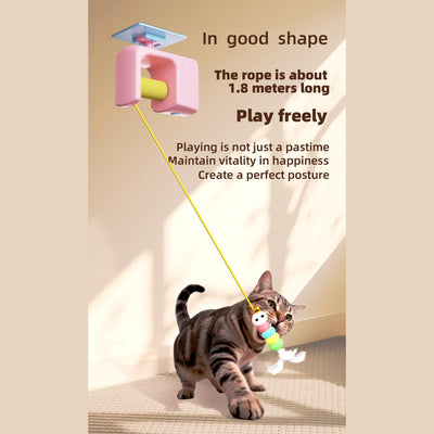 The Smart Play Electric Cat Teaser