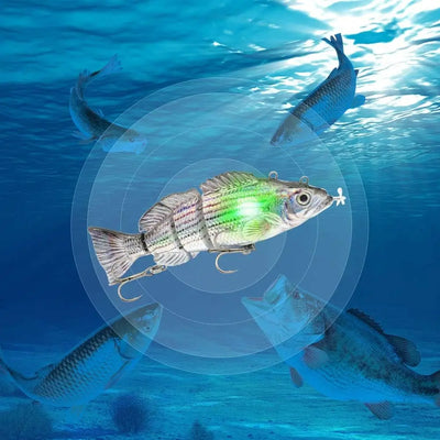 Robotic Fishing Lure