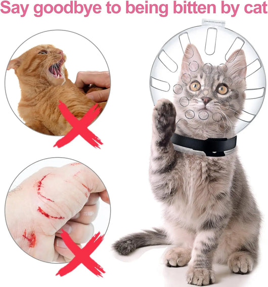 ClearCalm Cat Grooming Bubble