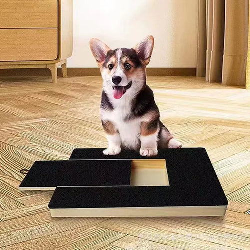 Dog Nail Scratch Board with Treat Box