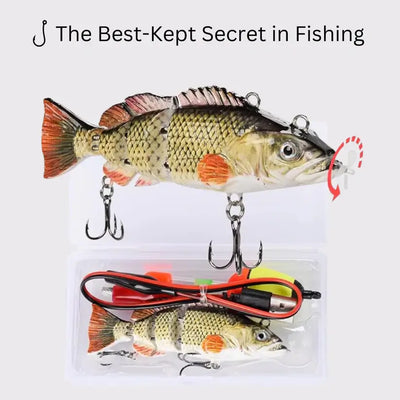 Robotic Fishing Lure