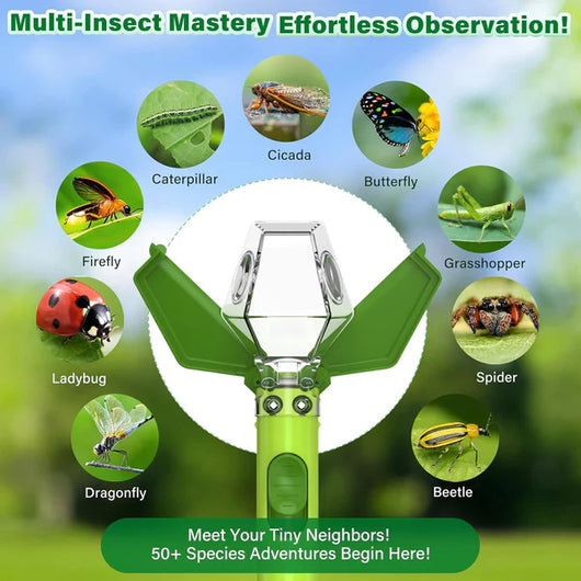 Kids Bug Catcher Explorer