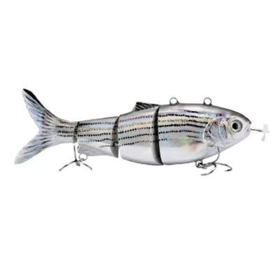 Robotic Fishing Lure