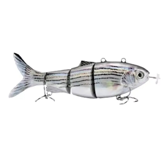 Robotic Fishing Lure